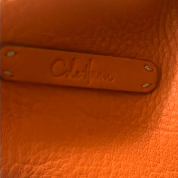 Cole Haan Orange Leather Hobo Bag, comes with dust bag - Picture 2 of 5
